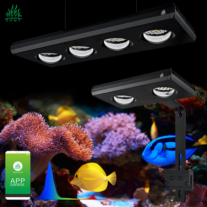 Aquarium Blue Marine Reef - ZXY رائجة البيع WEEKAQUA Z250 Z400sea