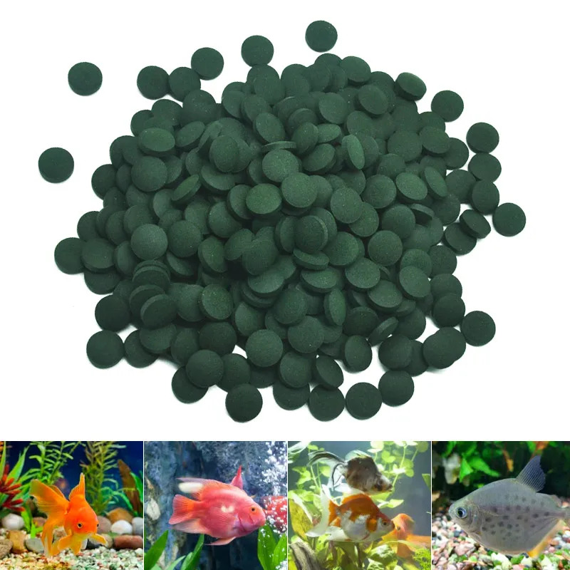 100-3000 قطعة أقراص سبيرولينا  - مراجعة Marine Aquarium Bacteria وسعره
