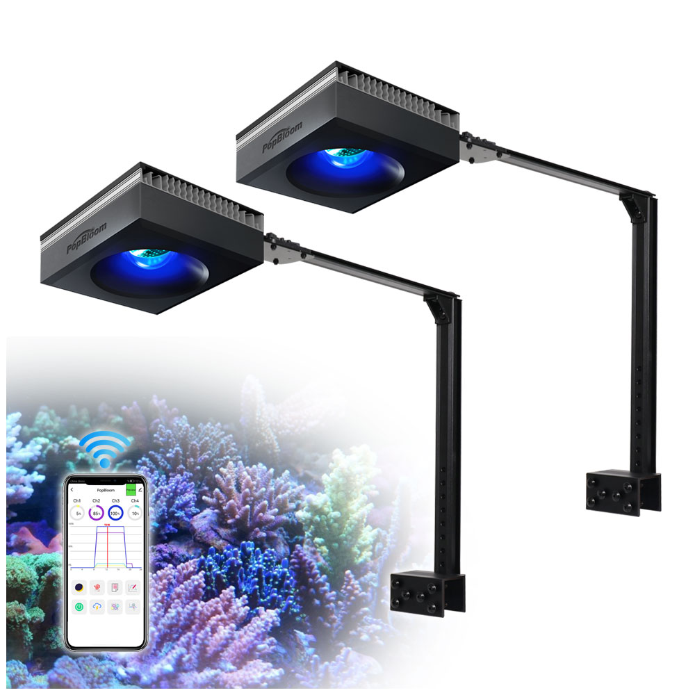 مصباح PopBloom RL90 LED لحوض ا - مراجعة Marine X Aquarium وسعره