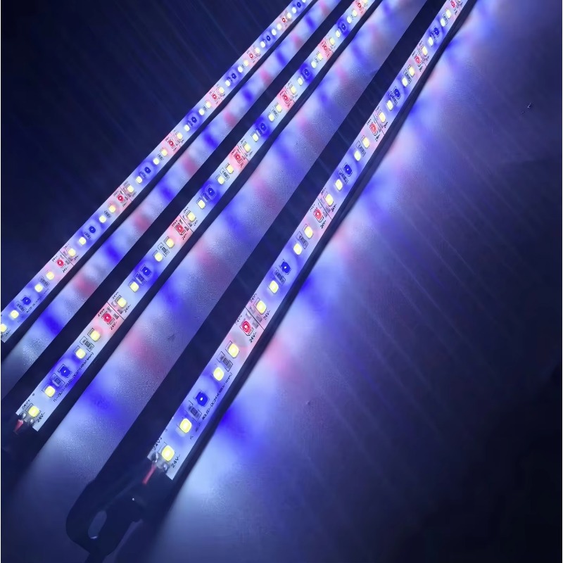 مصباح LED مقاوم للماء IP68 لحو - مراجعة Aquarium Blue Marine Reef وسعره