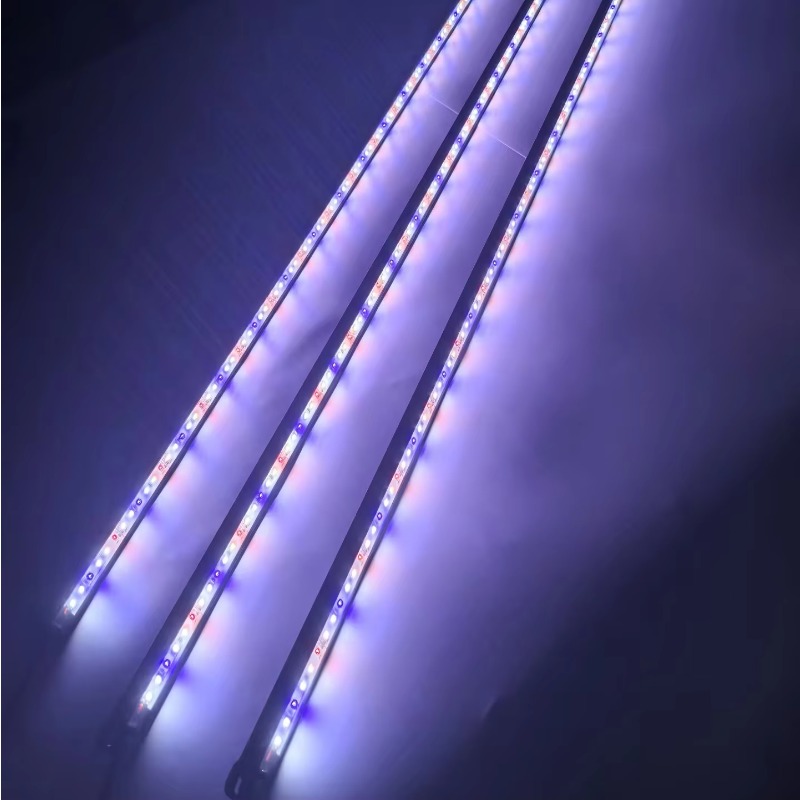 مصباح LED مقاوم للماء IP68 لحو - مراجعة Aquarium Blue Marine Reef وسعره