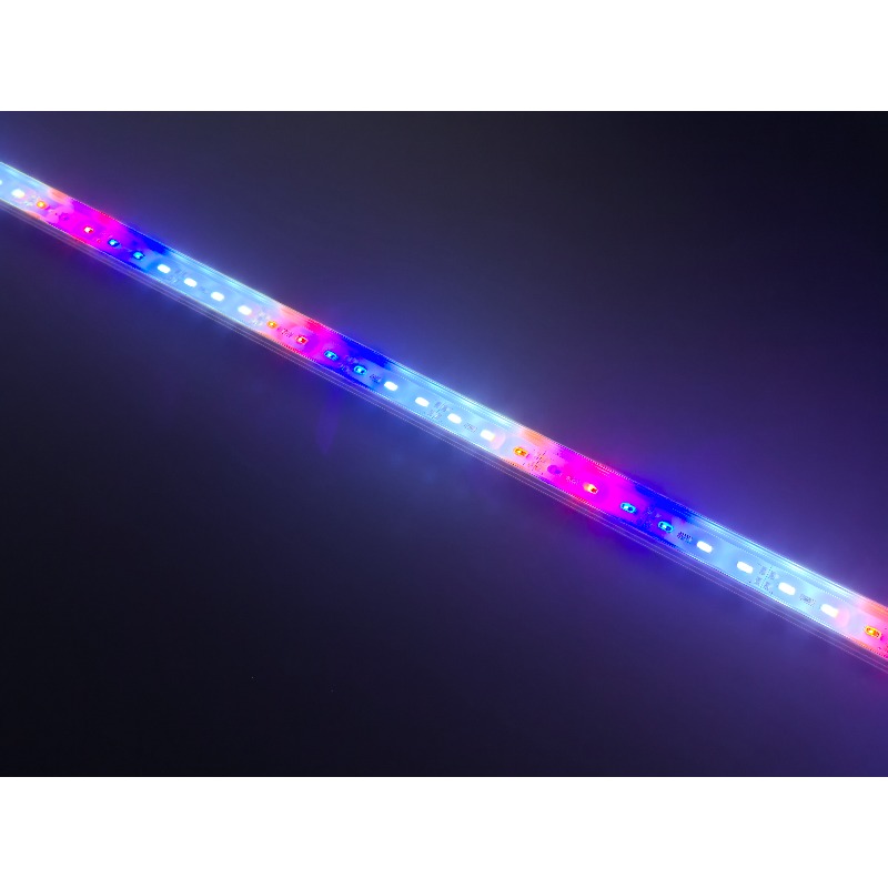 مصباح LED مقاوم للماء IP68 لحو - مراجعة Aquarium Blue Marine Reef وسعره