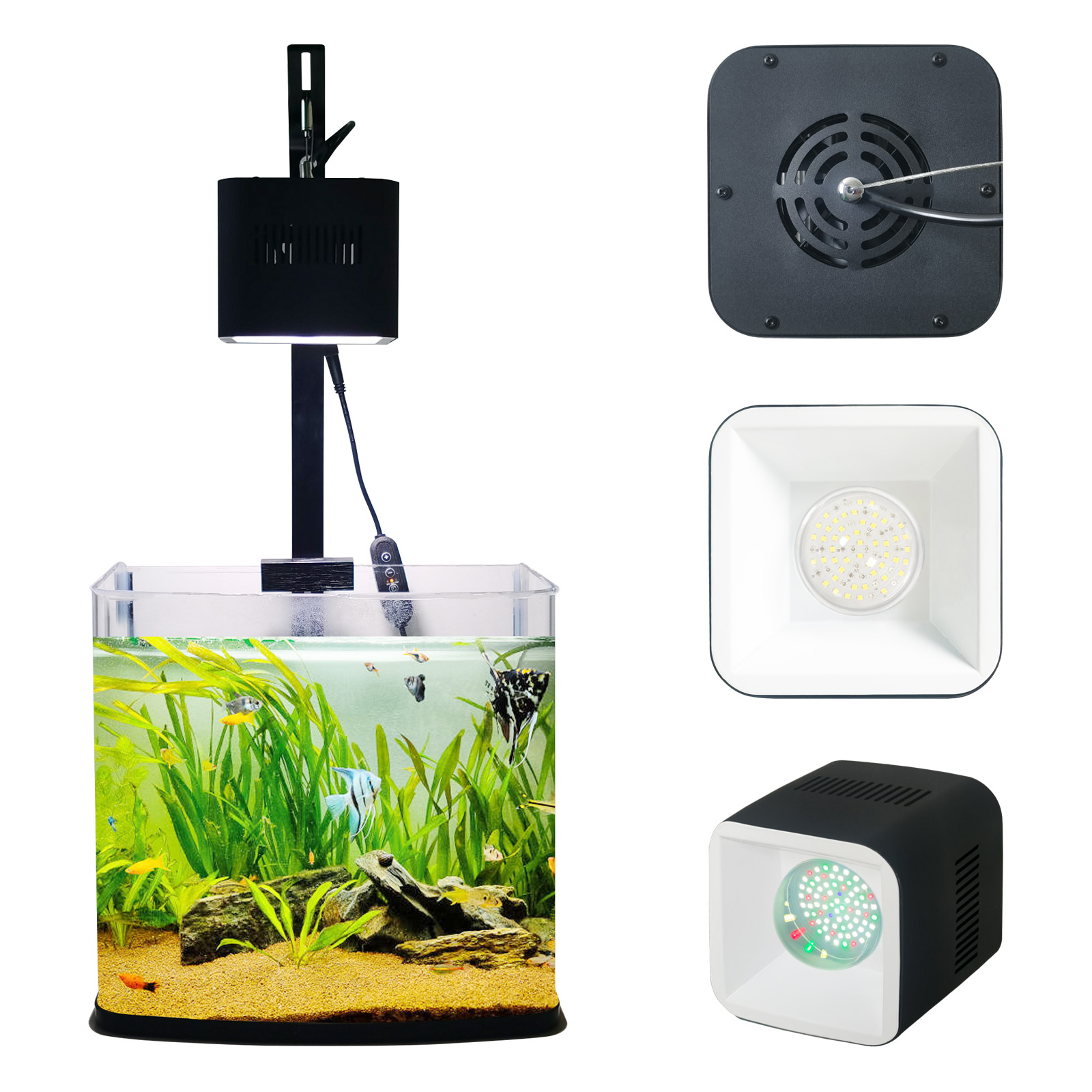 8H 10H 12H الموقت لوحة الشعاب  - مراجعة Aquarium Blue Marine Reef وسعره
