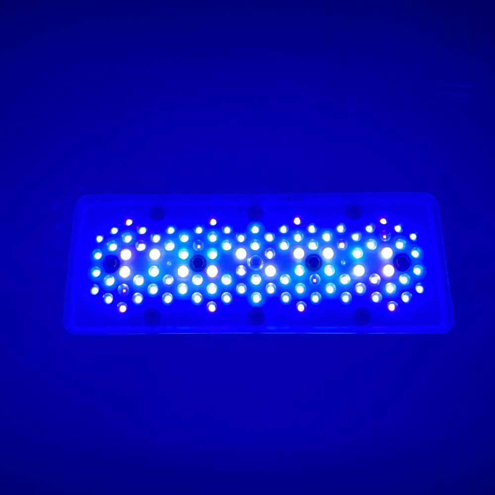 A8se A8PRO III BLUE 240W إضاءة - مراجعة Aquarium Blue Marine Reef وسعره