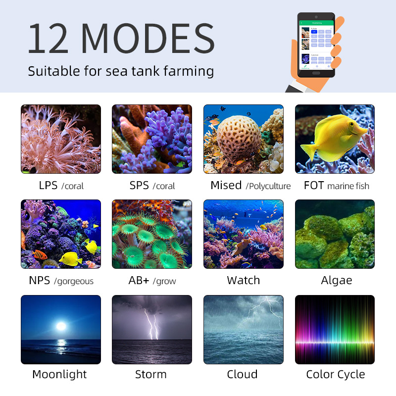 ZXY رائجة البيع WEEKAQUA Z250  - مراجعة Aquarium Blue Marine Reef وسعره