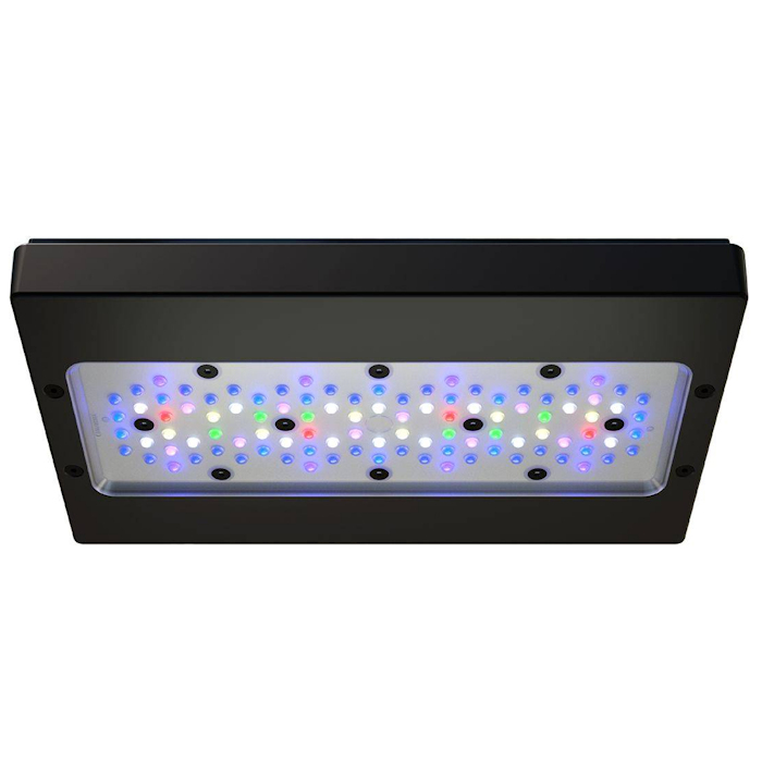 ينطبق على A8 PRO III Max و Blu - مراجعة Aquarium Blue Marine Reef وسعره