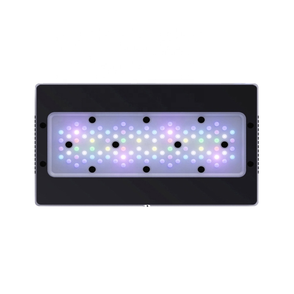ضوء LED كامل الطيف بقوة 240 وا - مراجعة Aquarium Blue Marine Reef وسعره