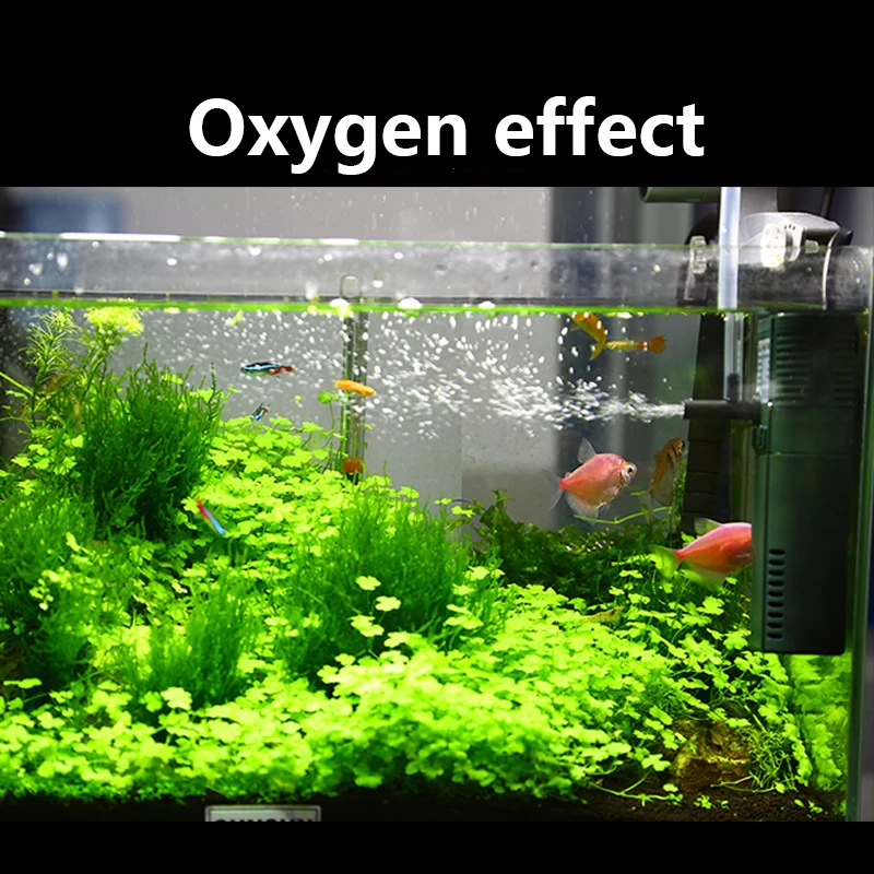 مضخة أوكسجين داخلي نانو صغيرة  - مراجعة Marine Aquarium Uv Light وسعره
